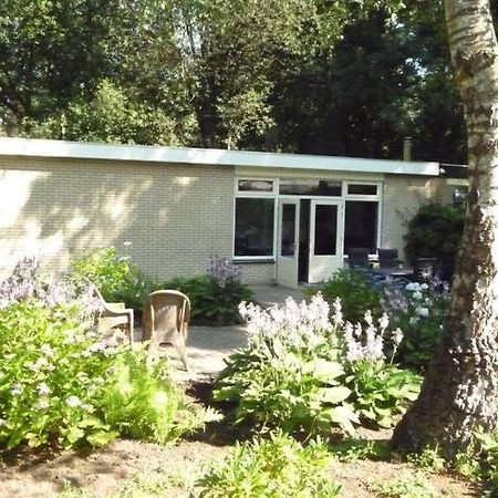 Luxe Recreatiebungalow Zelhem Exteriör bild