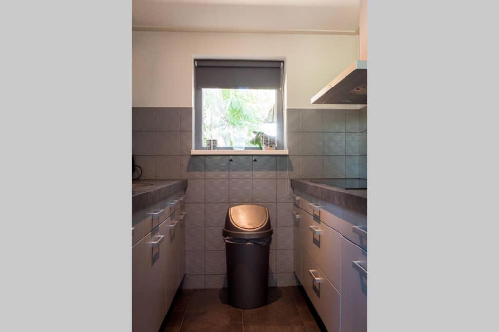 Luxe Recreatiebungalow Zelhem Exteriör bild